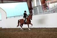 CA_Springfest19_FriAM_9464
