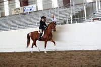 CA_Springfest19_FriAM_9466