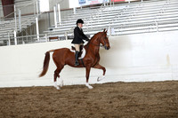 CA_Springfest19_FriAM_9467