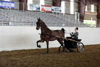 CA_Springfest19_FriAM_9477