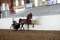 CA_Springfest19_FriAM_9480