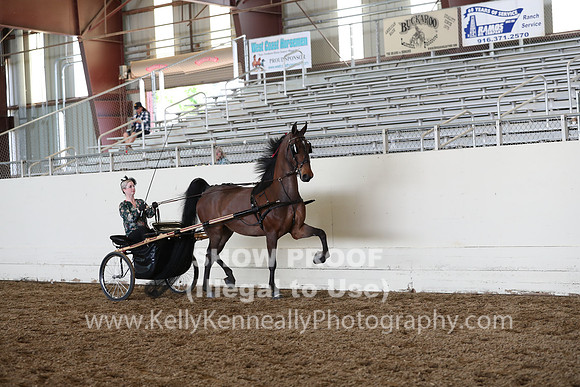 CA_Springfest19_FriAM_9480