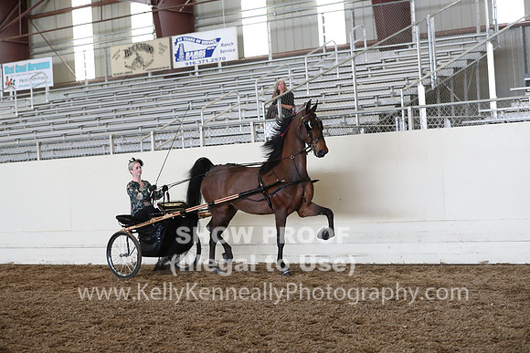 CA_Springfest19_FriAM_9481