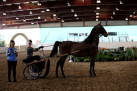 CA_Springfest19_FriAM_9483