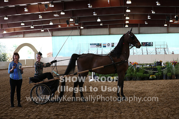 CA_Springfest19_FriAM_9483