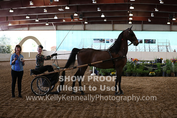 CA_Springfest19_FriAM_9484