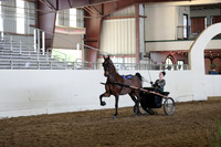 CA_Springfest19_FriAM_9486