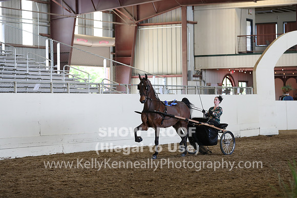 CA_Springfest19_FriAM_9486
