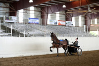 CA_Springfest19_FriAM_9488