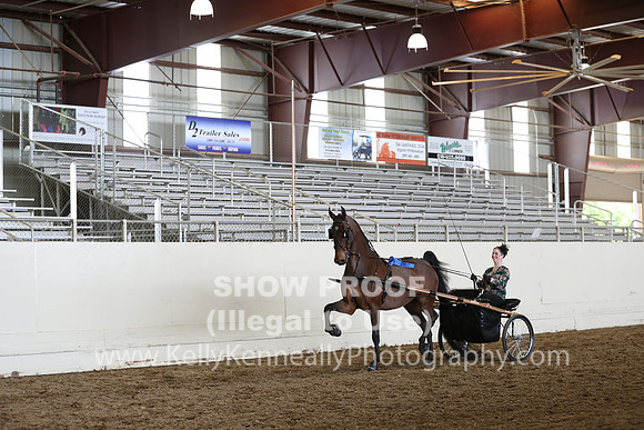 CA_Springfest19_FriAM_9488
