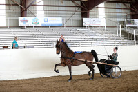 CA_Springfest19_FriAM_9490