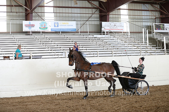 CA_Springfest19_FriAM_9490