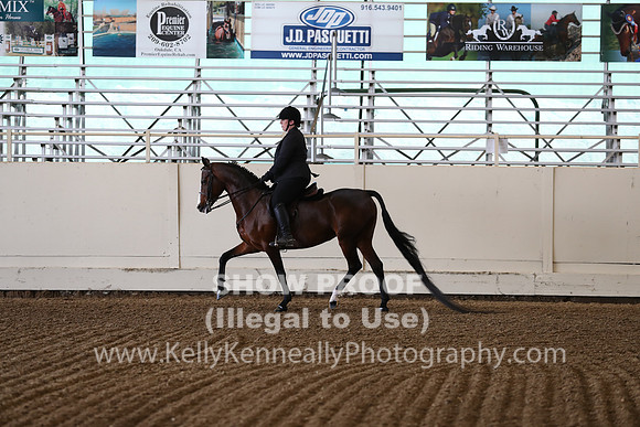 CA_Springfest19_FriPM_0006