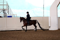 Class 37 Opportunity Walk Trot Pleasure any Age Rider Any Seat