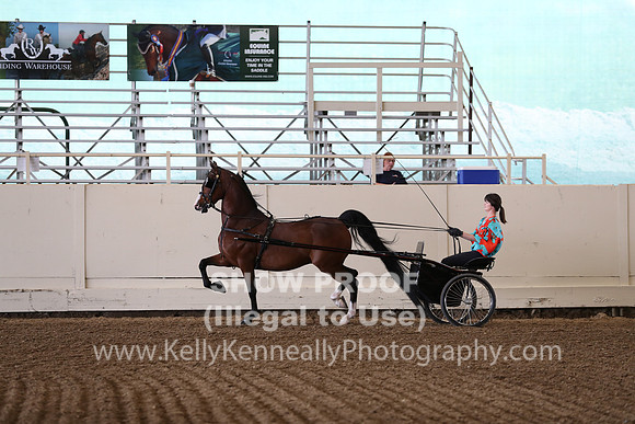 CA_Springfest19_FriPM_0052
