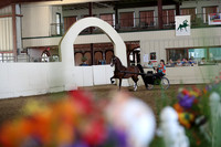 CA_Springfest19_FriPM_0057