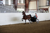 CA_Springfest19_FriPM_0058