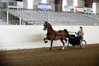 CA_Springfest19_FriPM_0059