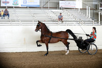 CA_Springfest19_FriPM_0060