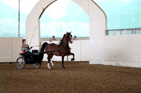 CA_Springfest19_FriPM_0067
