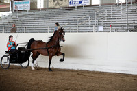 CA_Springfest19_FriPM_0070