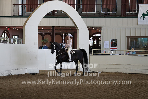 CA_Springfest19_FriPM_0029