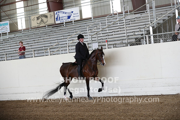 CA_Springfest19_FriPM_0030