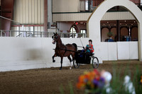 CA_Springfest19_FriPM_0071
