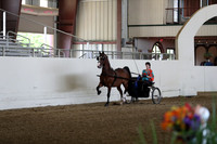 CA_Springfest19_FriPM_0072