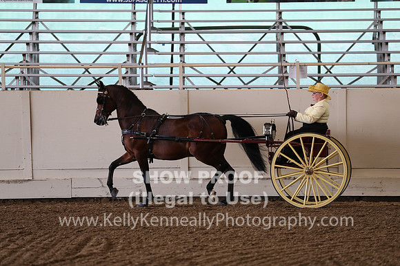 CA_Springfest19_FriPM_0223