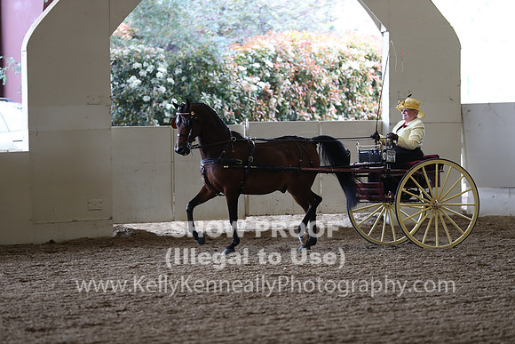 CA_Springfest19_FriPM_0225