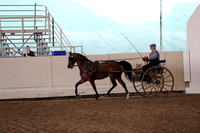 CA_Springfest19_FriPM_0230