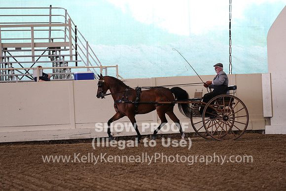 CA_Springfest19_FriPM_0230