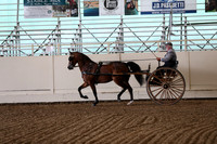 CA_Springfest19_FriPM_0234