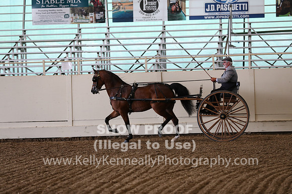 CA_Springfest19_FriPM_0234
