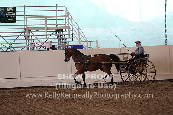 CA_Springfest19_FriPM_0233