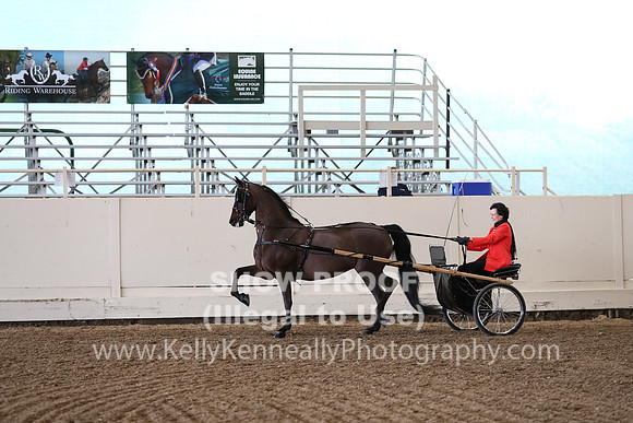 CA_Springfest19_FriPM_0279