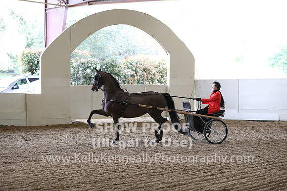 CA_Springfest19_FriPM_0282