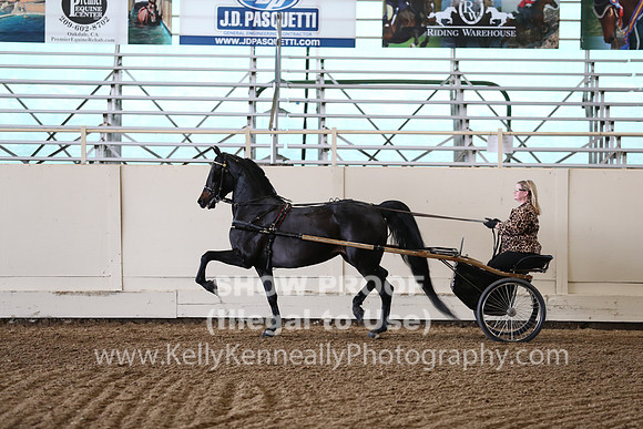 CA_Springfest19_FriPM_0284