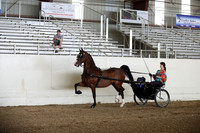 CA_Springfest19_FriPM_0077
