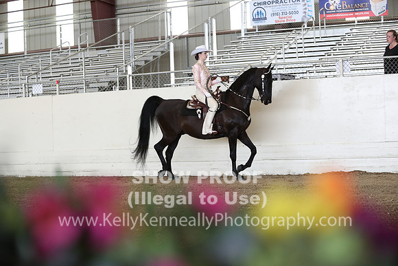 CA_Springfest19_FriPM_0035