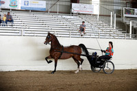 CA_Springfest19_FriPM_0078