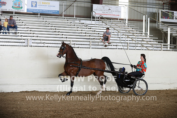 CA_Springfest19_FriPM_0078