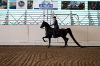CA_Springfest19_FriPM_0098