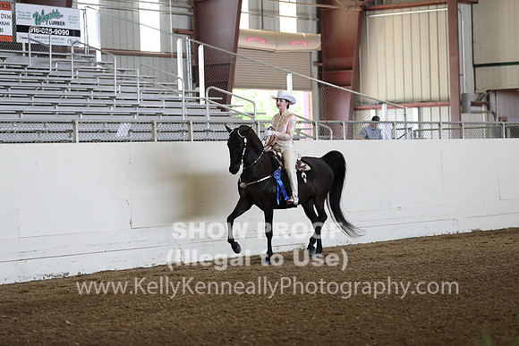 CA_Springfest19_FriPM_0040