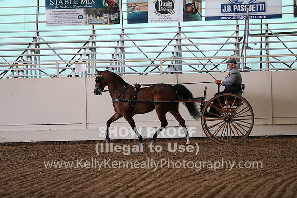 CA_Springfest19_FriPM_0235