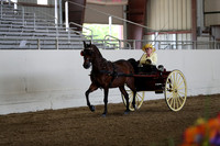 CA_Springfest19_FriPM_0237