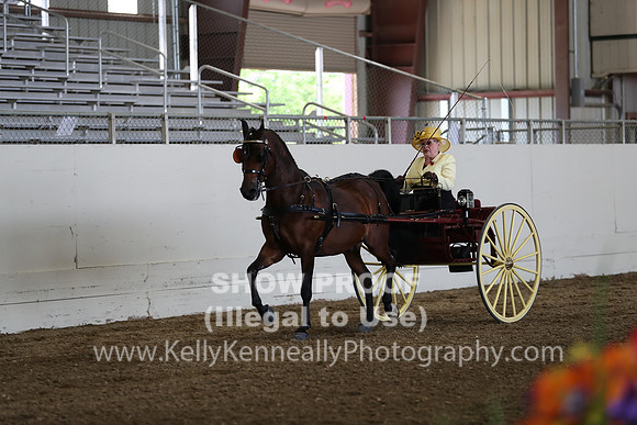CA_Springfest19_FriPM_0237