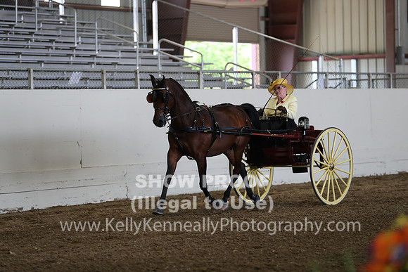 CA_Springfest19_FriPM_0239