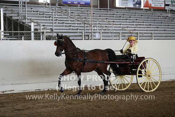CA_Springfest19_FriPM_0240
